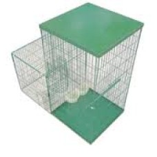 MINI MAGNET - Myna Bird Trap MINI MAGNET - Myna Bird Trap