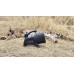 ICOtec NIGHT STALKER+   -FREE POSTAGE-