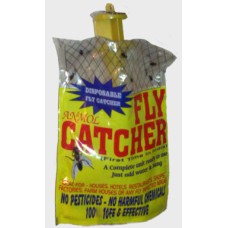 Fly Catcher