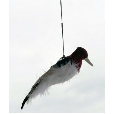Kill Chirp Kill Chirp