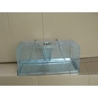 Mouse Trap Multi Catch - Large Mouse Trap Multi Catch - Large