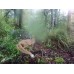 4 G Trail Camera Australia Wide Angle Lens 100 degrees