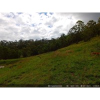 4 G Trail Camera Australia Wide Angle Lens 100 degrees