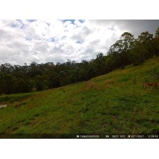 4 G Trail Camera Australia Wide Angle Lens 100 degrees