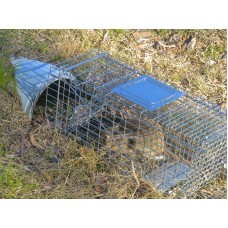 Cage Trap Folding - Medium FREE POSTAGE!