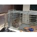 Cage Trap - Rat
