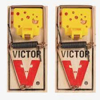 Victor Easy Set Mouse Trap 2 pack