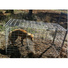 Fox Cage Trap Australian Made CONTACT FOR SHIPPING DETAILS Fox Cage Trap Australian Made CONTACT FOR SHIPPING DETAILS