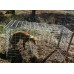 Fox Cage Trap Australian Made CONTACT FOR SHIPPING DETAILS Fox Cage Trap Australian Made CONTACT FOR SHIPPING DETAILS