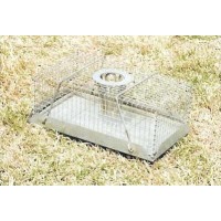 Mouse Trap Multi-Catch - Medium Mouse Trap Multi-Catch - Medium