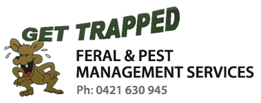 Get Trapped Get Trapped